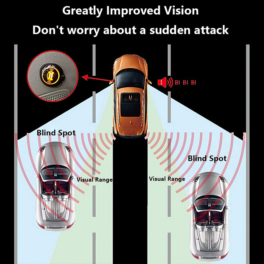 Riloer BSD Radar Monitoring Detection Kit